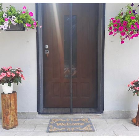 Trecasali La Casina Bed & Breakfast エクステリア 写真