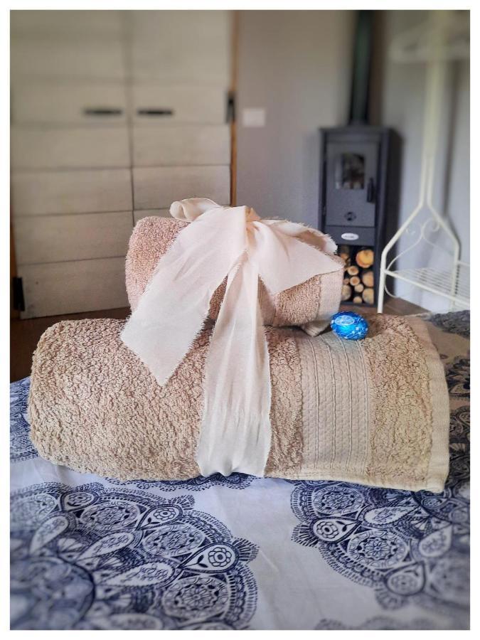 Trecasali La Casina Bed & Breakfast エクステリア 写真