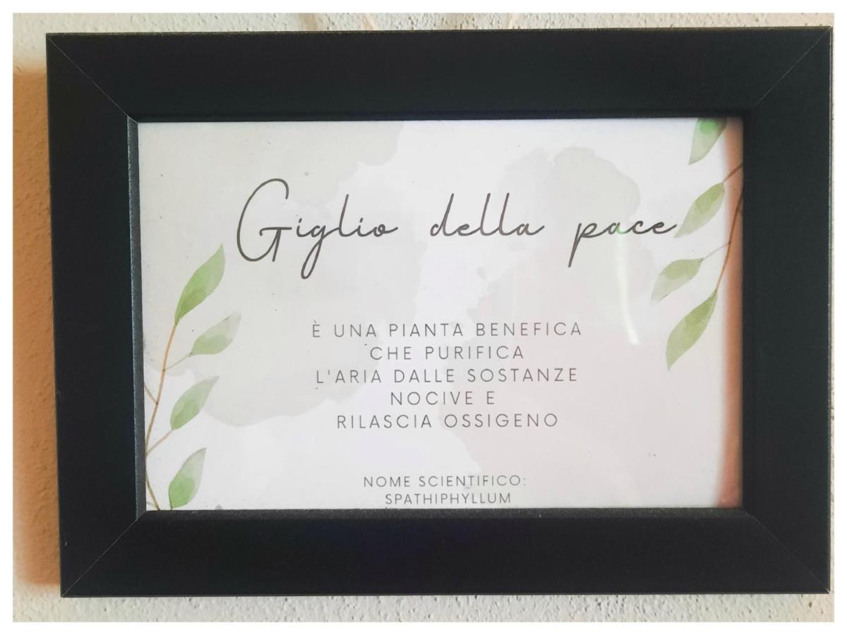 Trecasali La Casina Bed & Breakfast エクステリア 写真