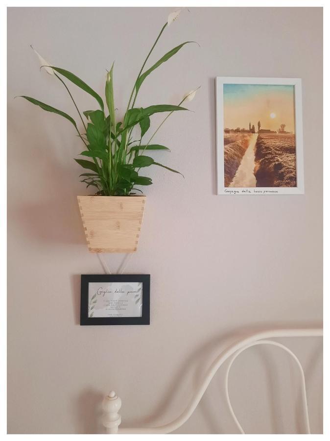 Trecasali La Casina Bed & Breakfast エクステリア 写真