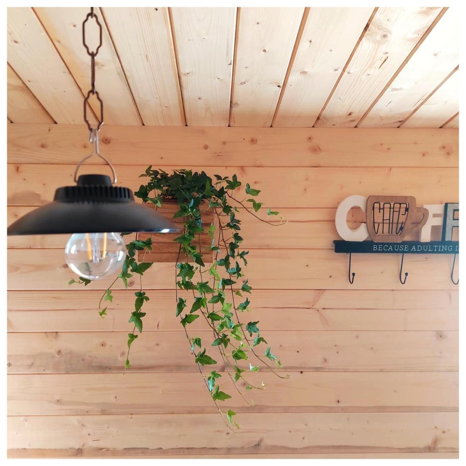 Trecasali La Casina Bed & Breakfast エクステリア 写真