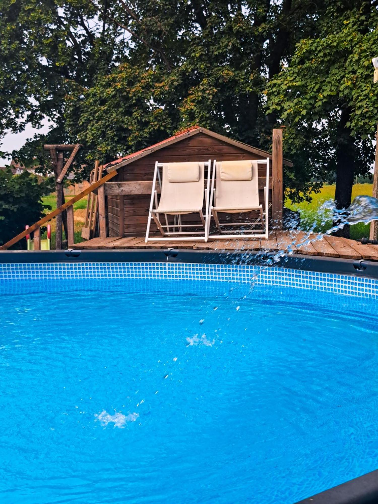 Trecasali La Casina Bed & Breakfast エクステリア 写真